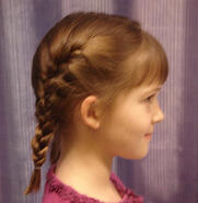 Dutch Braids