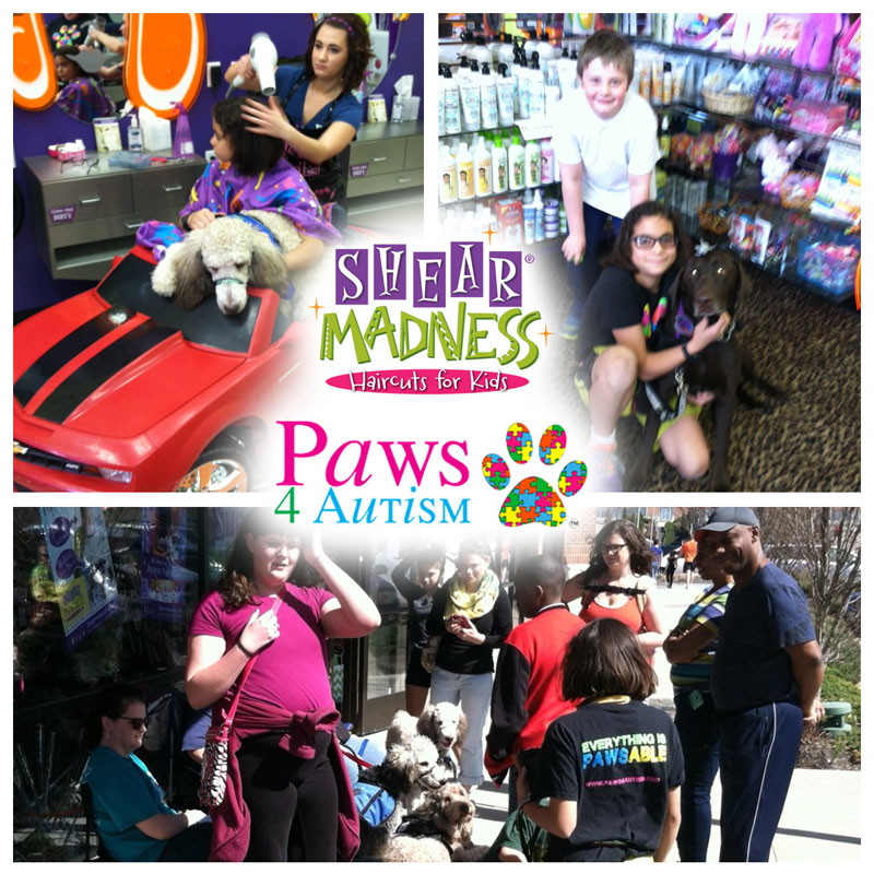 Paws 4 Autism at Shear Madness!